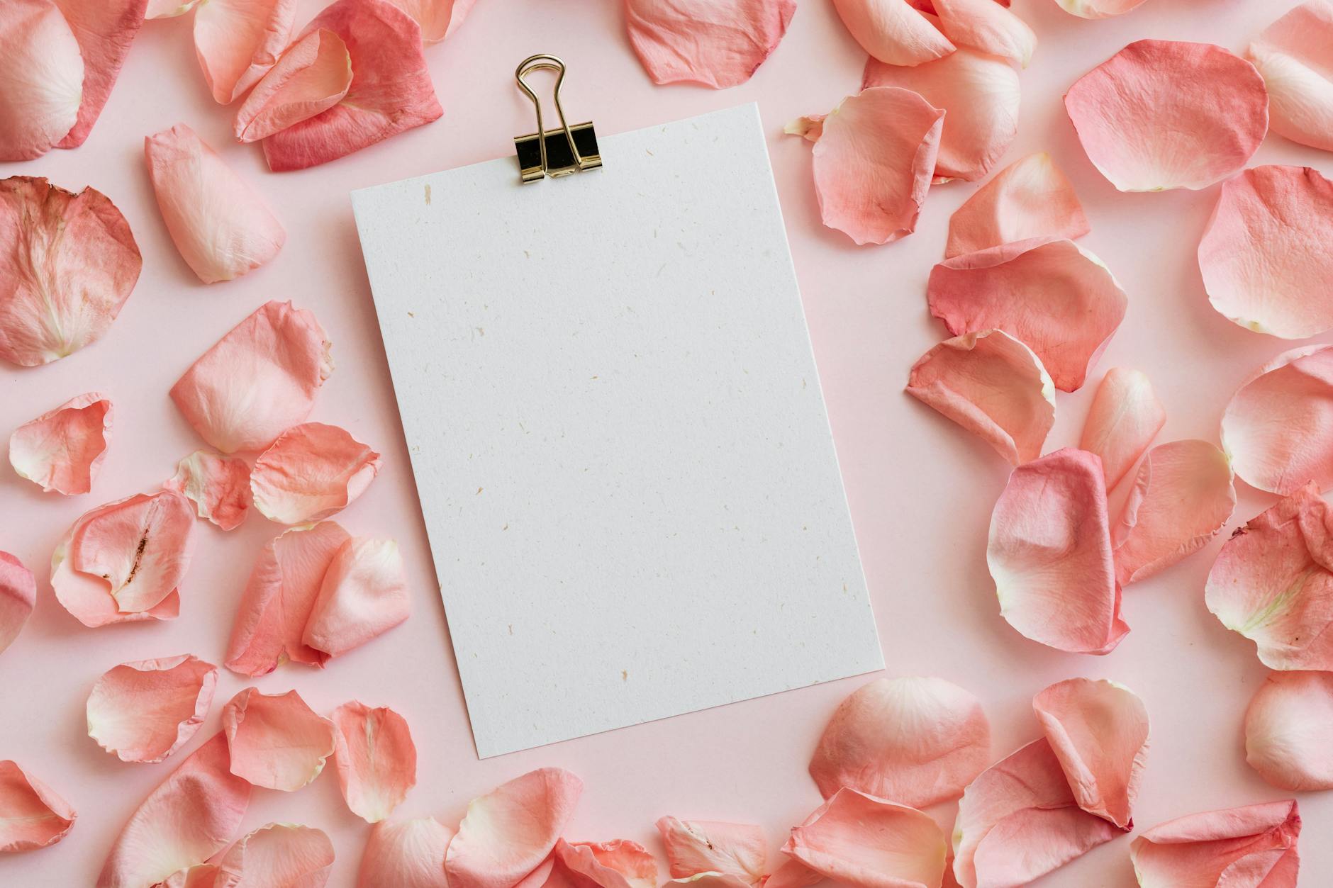 From above of blank gift card with office clip placed with heap of rose petals on pink background
