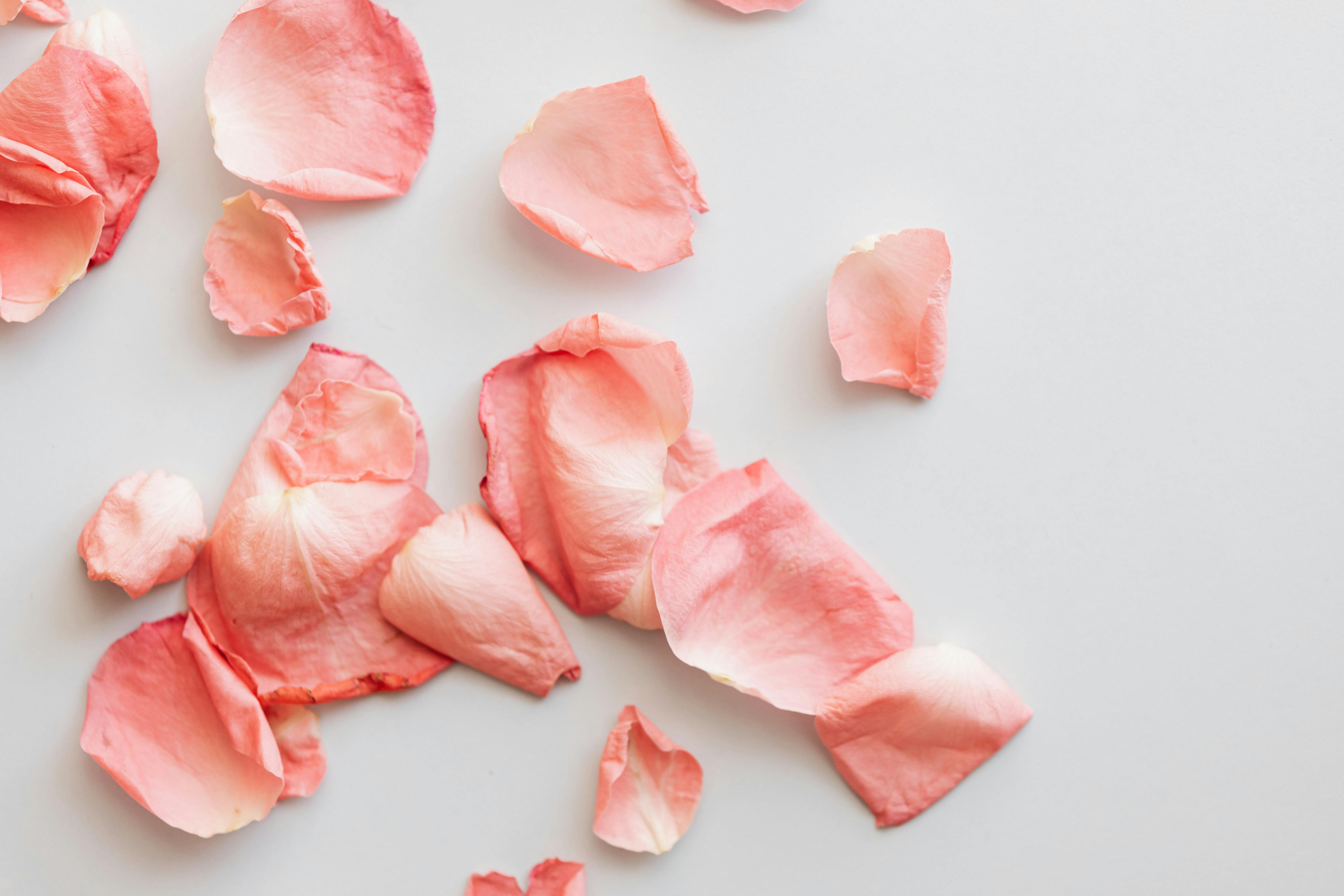 干净的白色表面上，散落着精致的粉色玫瑰花瓣，营造出柔和而浪漫的氛围