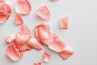 干净的白色表面上，散落着精致的粉色玫瑰花瓣，营造出柔和而浪漫的氛围