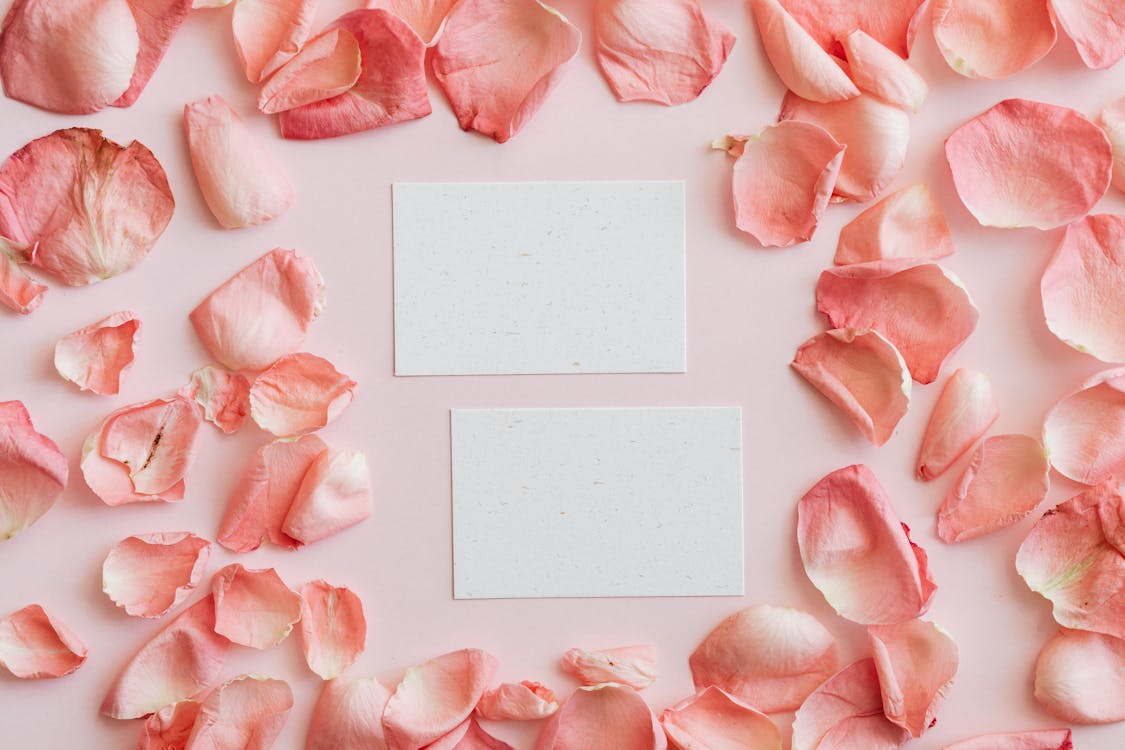 Set of pink petals and cards