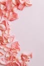 柔和的粉红色玫瑰花瓣以艺术的扁平布局点缀在柔和的背景上