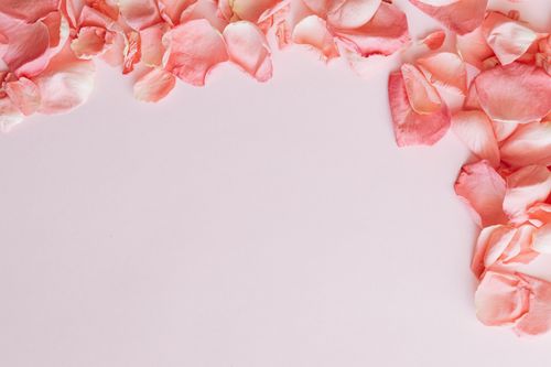 Free Top view flat lay composition of frame made of rose petals placed on pink background Stock Photo