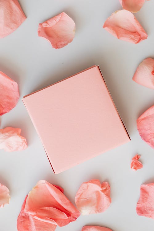 Free Pink Box surrounded with Pink Rose Petals  Stock Photo