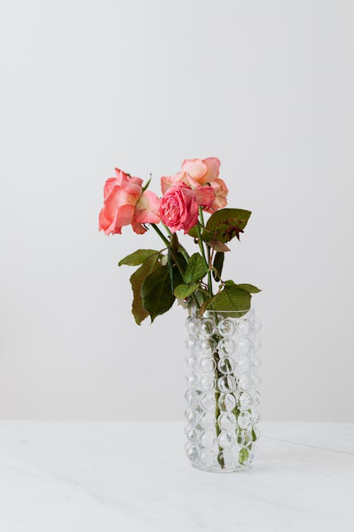 Transparent vase with blooming rose bouquet on white table