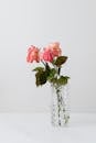 Transparent vase with blooming rose bouquet on white table