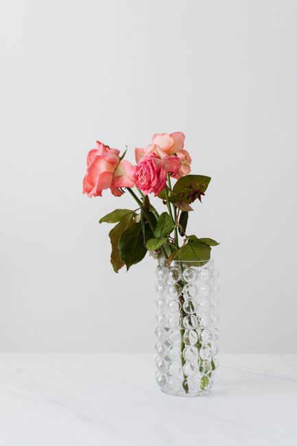 Pale pink roses with gentle petals and large spiky leaves in transparent bubbly crystal vase on white background