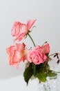 Pink roses with gentle petals in crystal vase