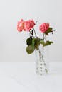 白色背景上，一个玻璃起泡花瓶里插着一束粉红色的玫瑰花，花蕾盛开，花瓣温柔，细茎上长着大尖的叶子