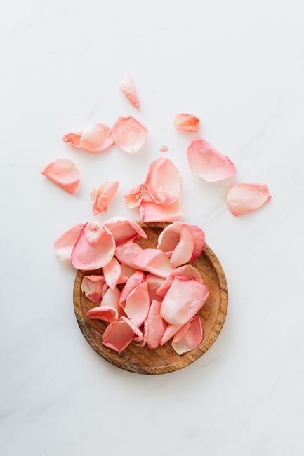 Top view of delicate pale pink rose petals poured out of small round wooden plate on white surface
