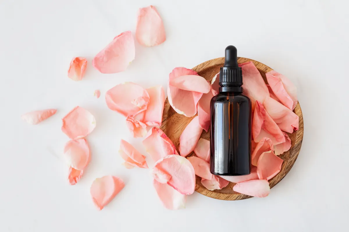 Choosing a carrier oil for essential oils: an amber dropper bottle of carrier oil next to rose petals