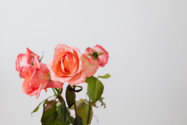 Elegant pastel bouquet