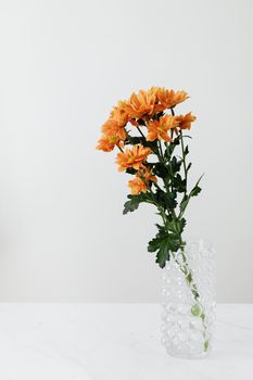 白色背景玻璃花瓶中插着新鲜的天然粉红色菊枝，适合家居装饰或作为场合概念礼物