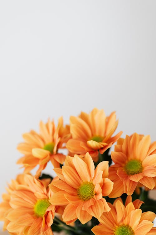 Orange flowers bouquet on white background