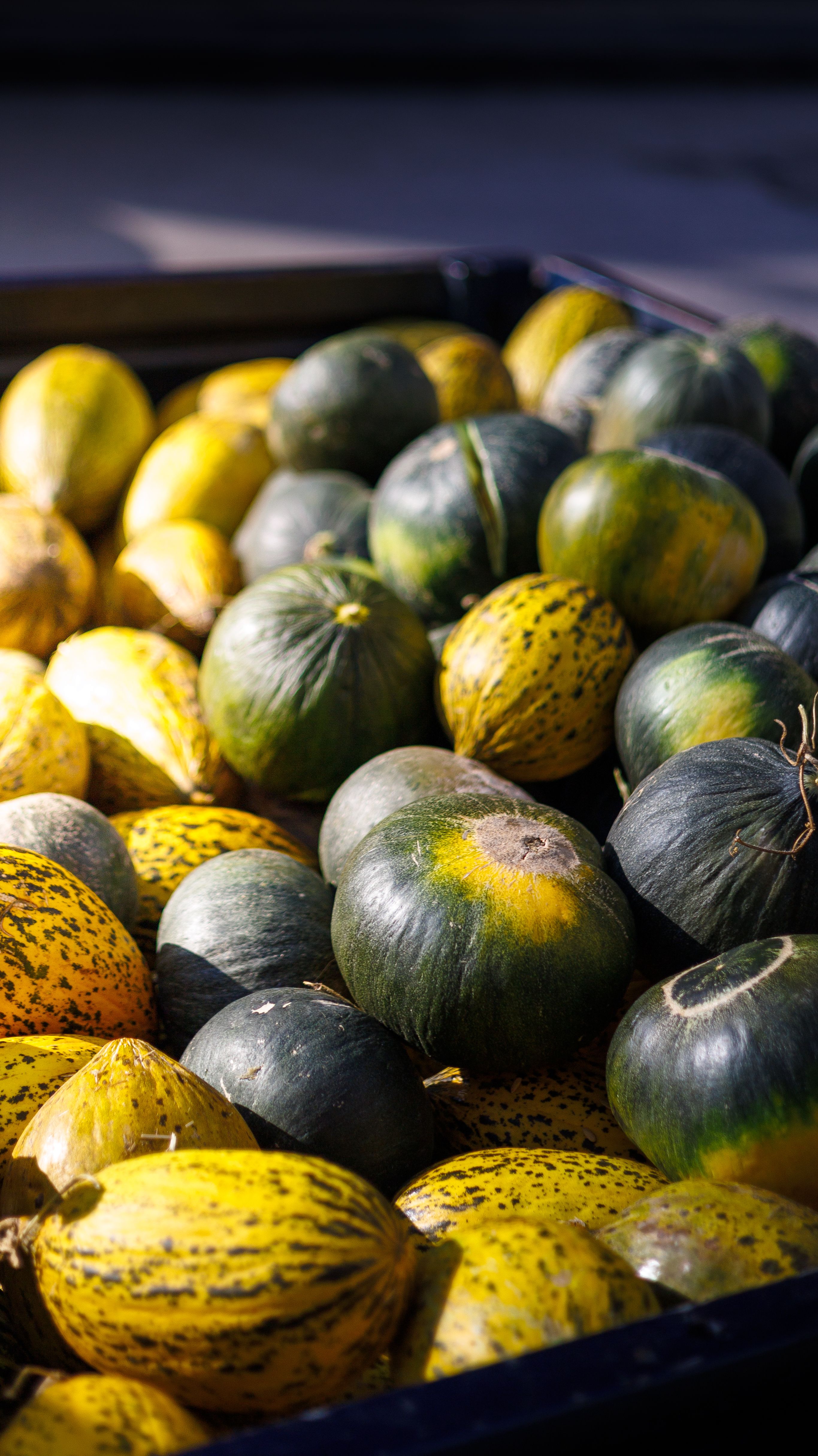 Fotomural Melones de colores vibrantes en un puesto de mercado, que exhiben texturas y colores naturales bajo la brillante luz del sol.