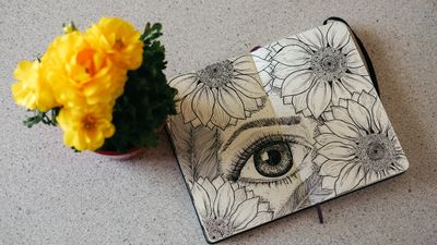 Open botanical field journal with pen-and-ink sunflower plates beside fresh blooms — photo by Phuong NGUYEN Nguyen on Pexels
