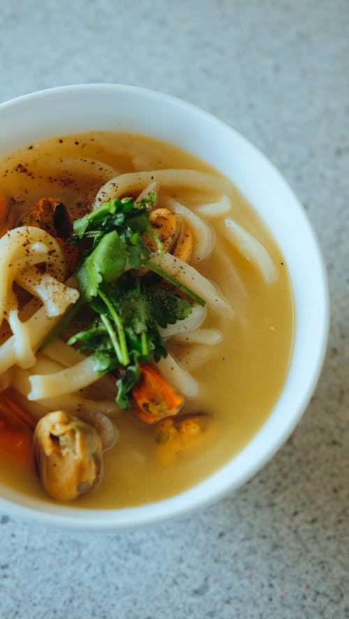 Free Photo of Chicken Noodle Soup with Parsley Stock Photo