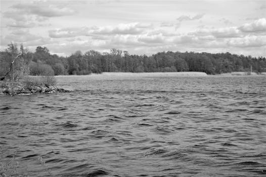 Free stock photo of landscape, nature, water, forest