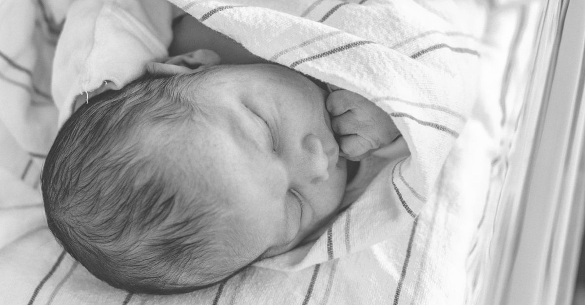 Surrogate Birth Sparks Legal Battle Over Child Custody