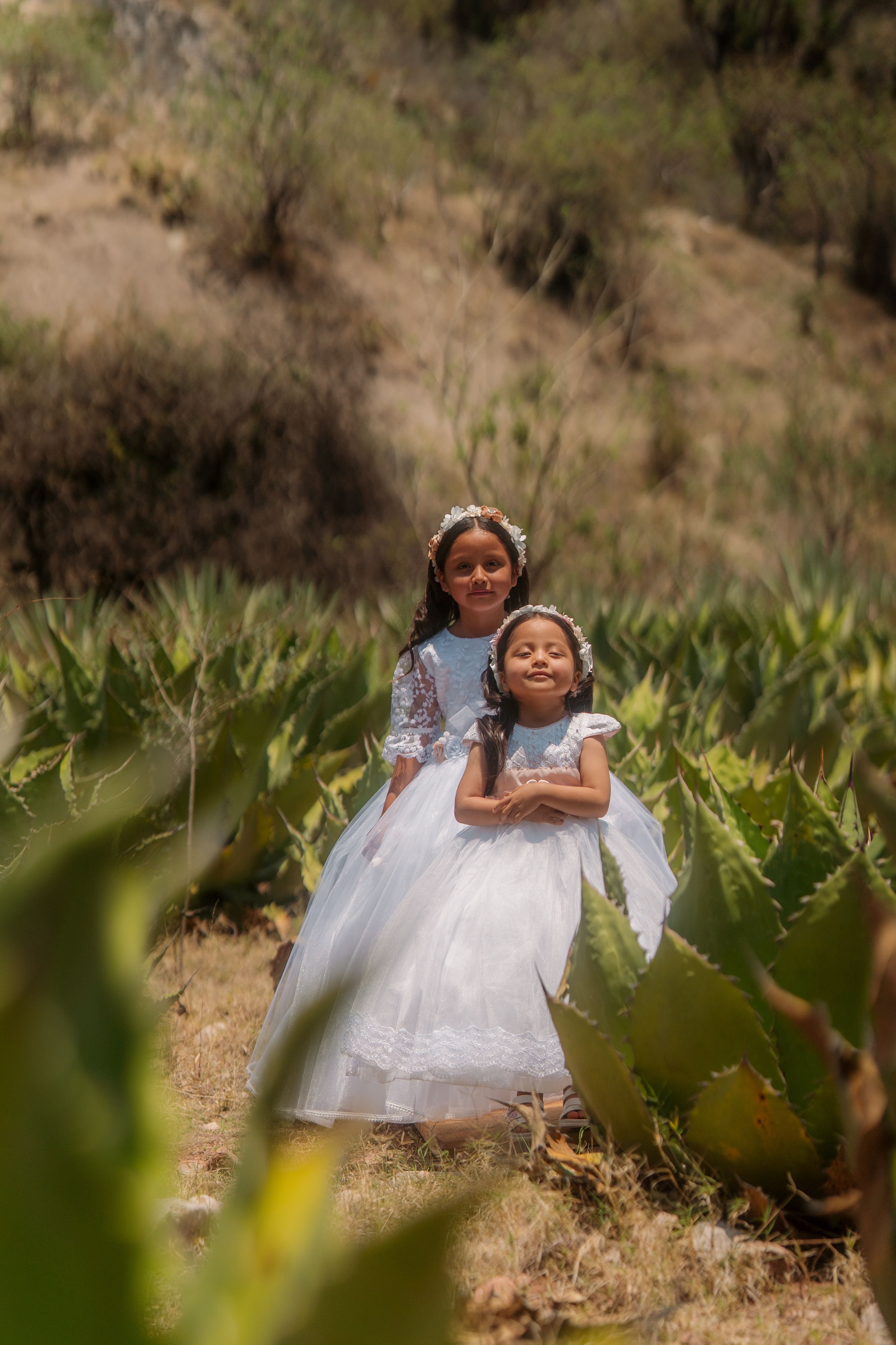 Fotomural Dos niñas pequeñas con vestidos blancos de pie entre plantas de agave al aire libre.