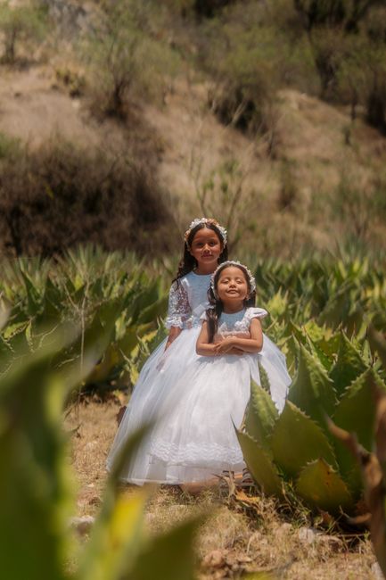 Fotomural Dos niñas pequeñas con vestidos blancos de pie entre plantas de agave al aire libre.