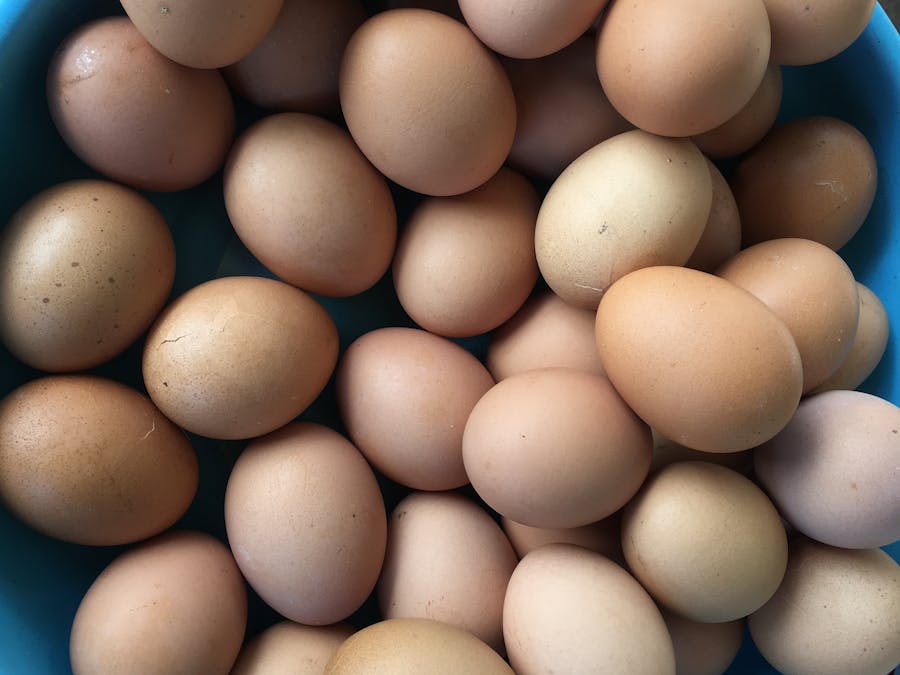 Can I eat 10 egg white per day?