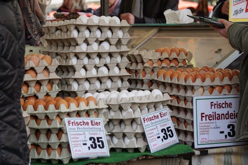 Kostenloses Stock Foto zu eier, essen, tabletts