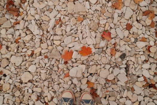 Colorful autumn leaves scattered on a pebble path with sneakers visible.