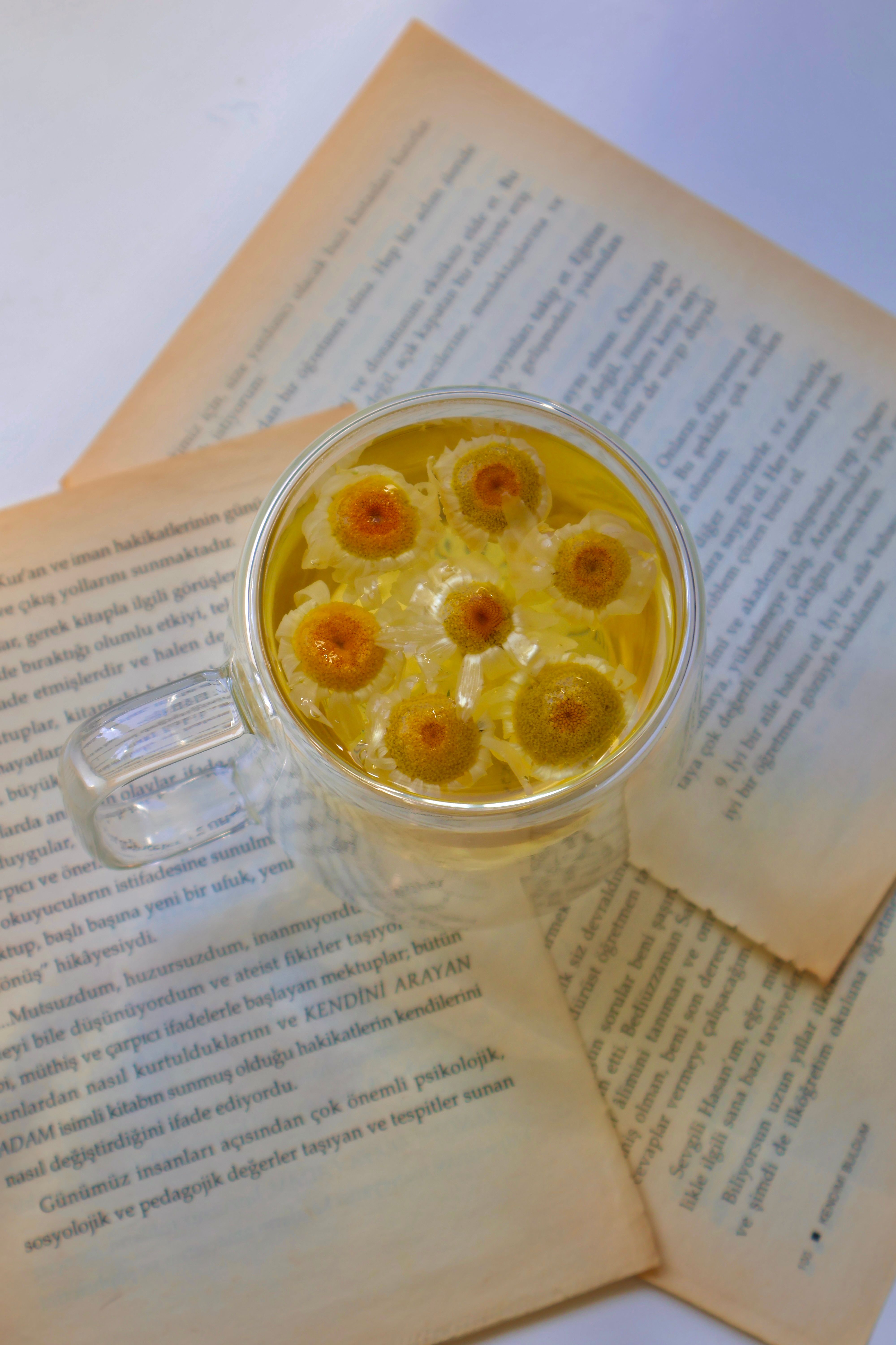 Chamomile Tea with Open Book Background · Free Stock Photo