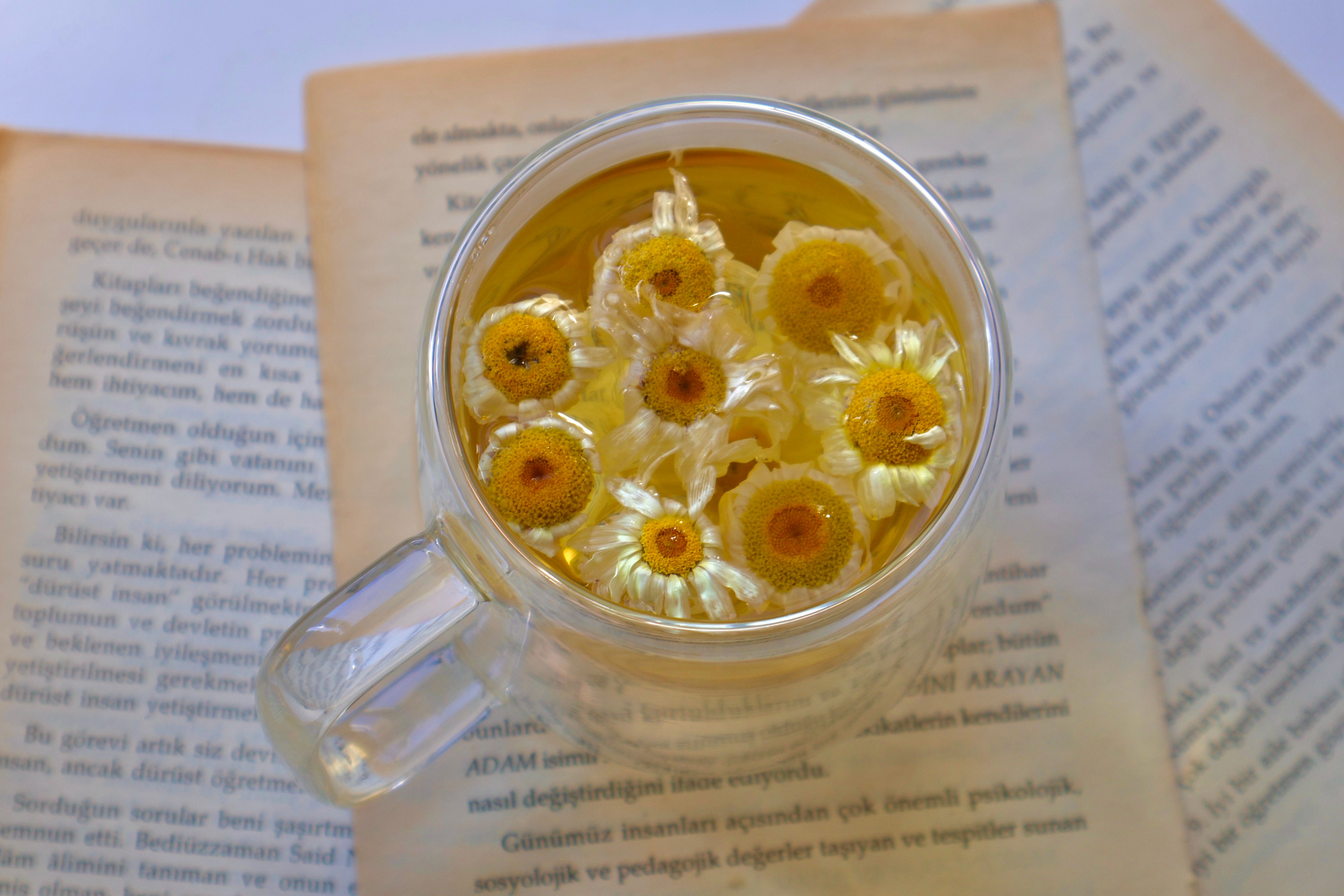Chamomile Tea in Glass Cup with Books Background · Free Stock Photo