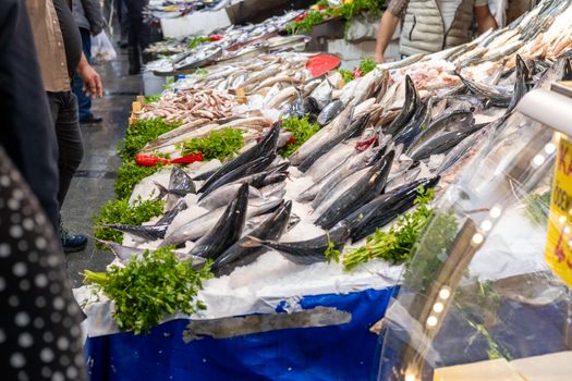 Captured at a bustling fish market in İzmir, showcasing a variety of fresh seafood on display.