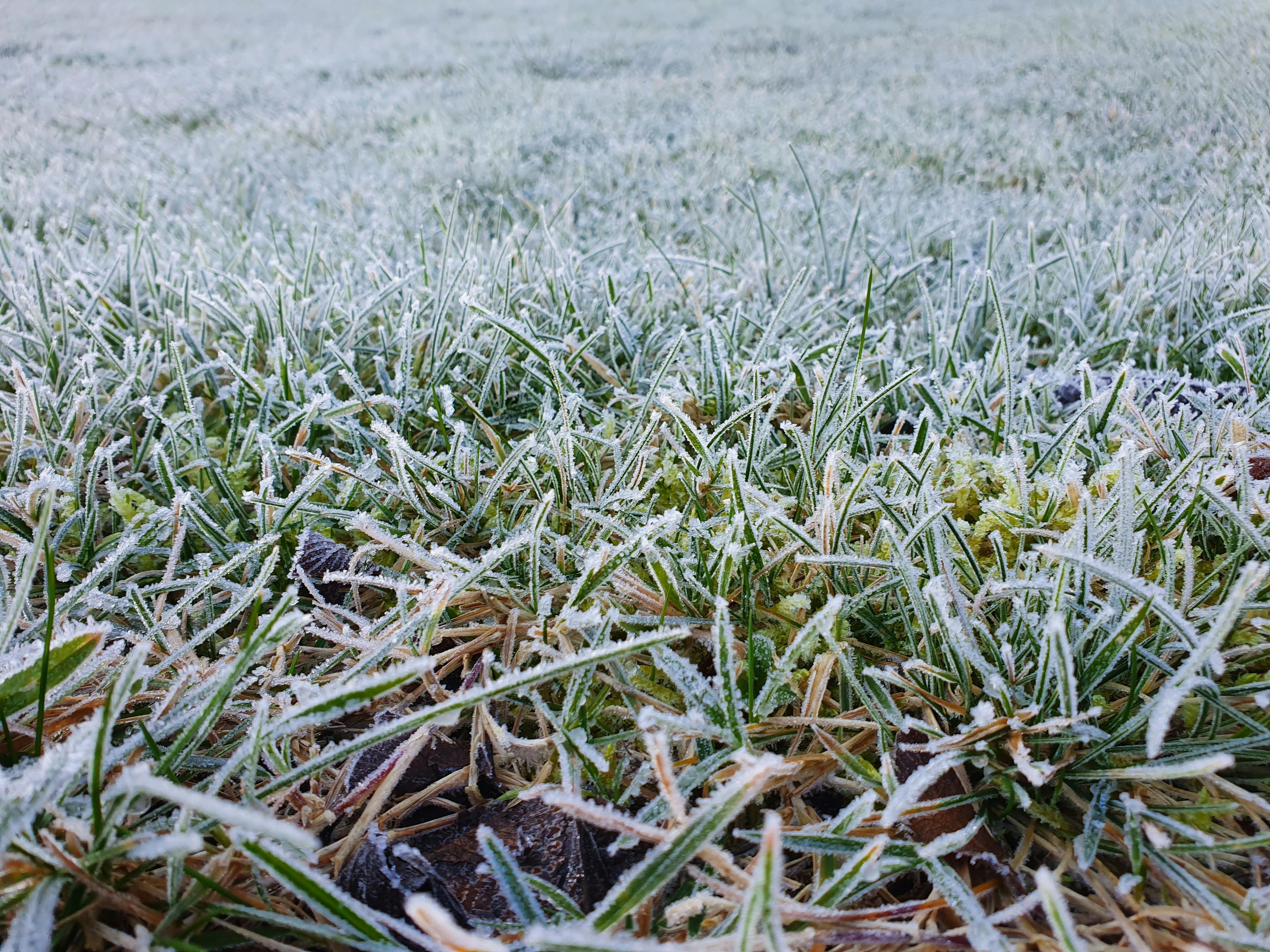 iPhone e Samsung Galaxy lado a lado