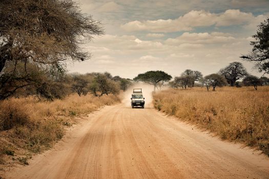 A safari vehicle travels on a dusty road in a Tanzanian savanna, surrounded by sparse trees and grasslands under a cloudy sky.