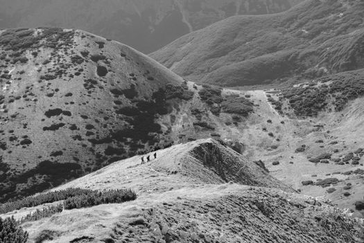 斯洛伐克维索凯塔特拉山脉崎岖地形中徒步旅行者的全景。 - 相关推荐