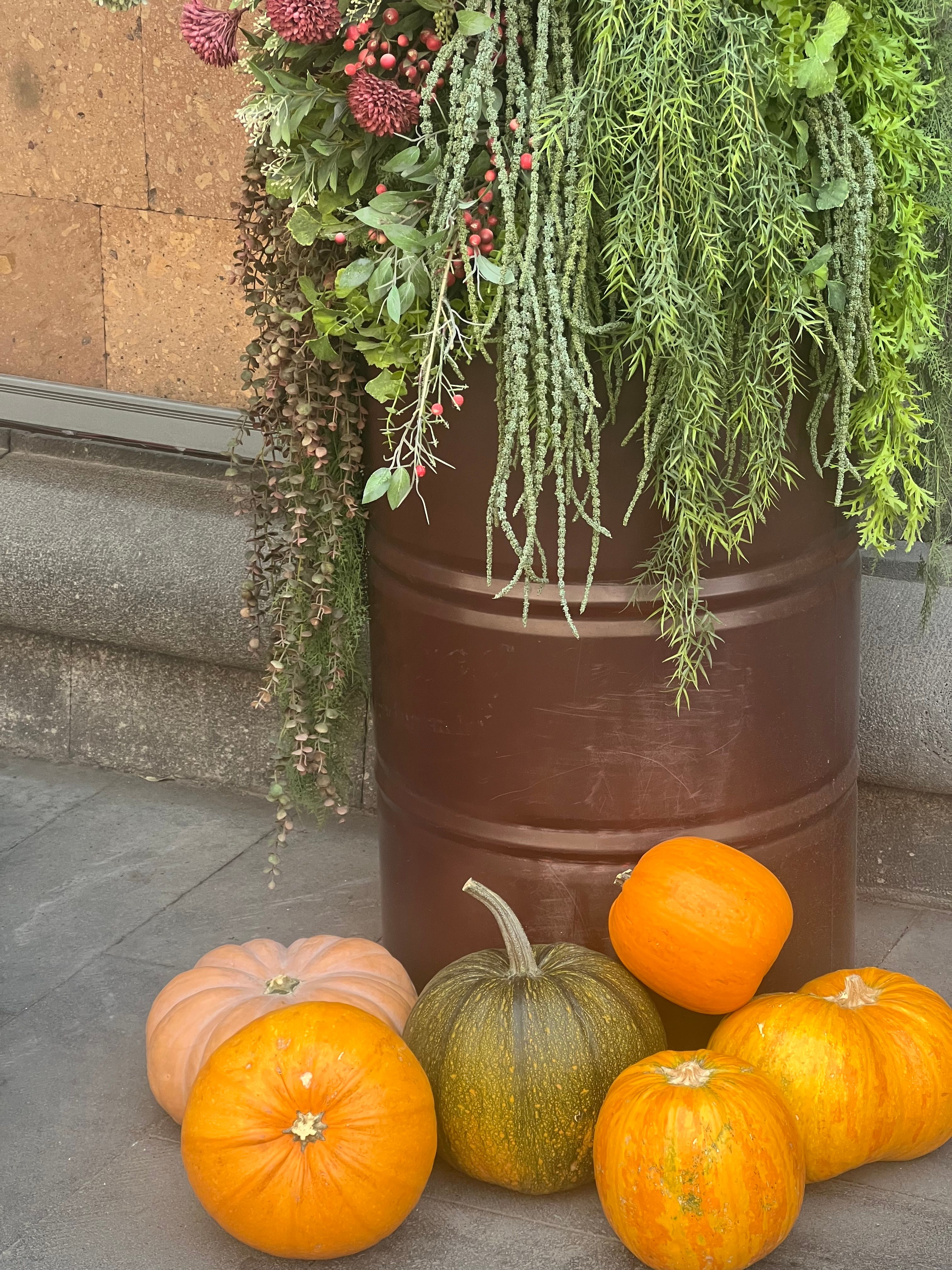 Fotomural Un colorido arreglo de calabazas y vegetación que captura la esencia del otoño al aire libre.