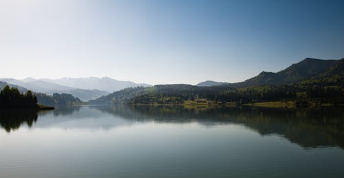Free Body of Water Surrounded by Trees Stock Photo