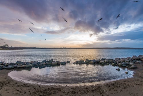 Immagine gratuita di acqua, alba, bagnasciuga