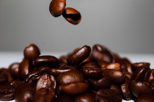 Kostnadsfri bild av faller, kaffe, kaffebönor