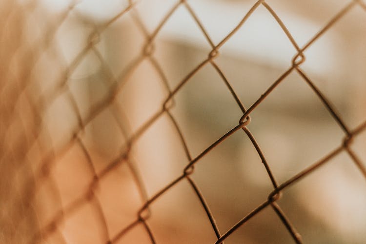 Closeup Of Chain Link Fence