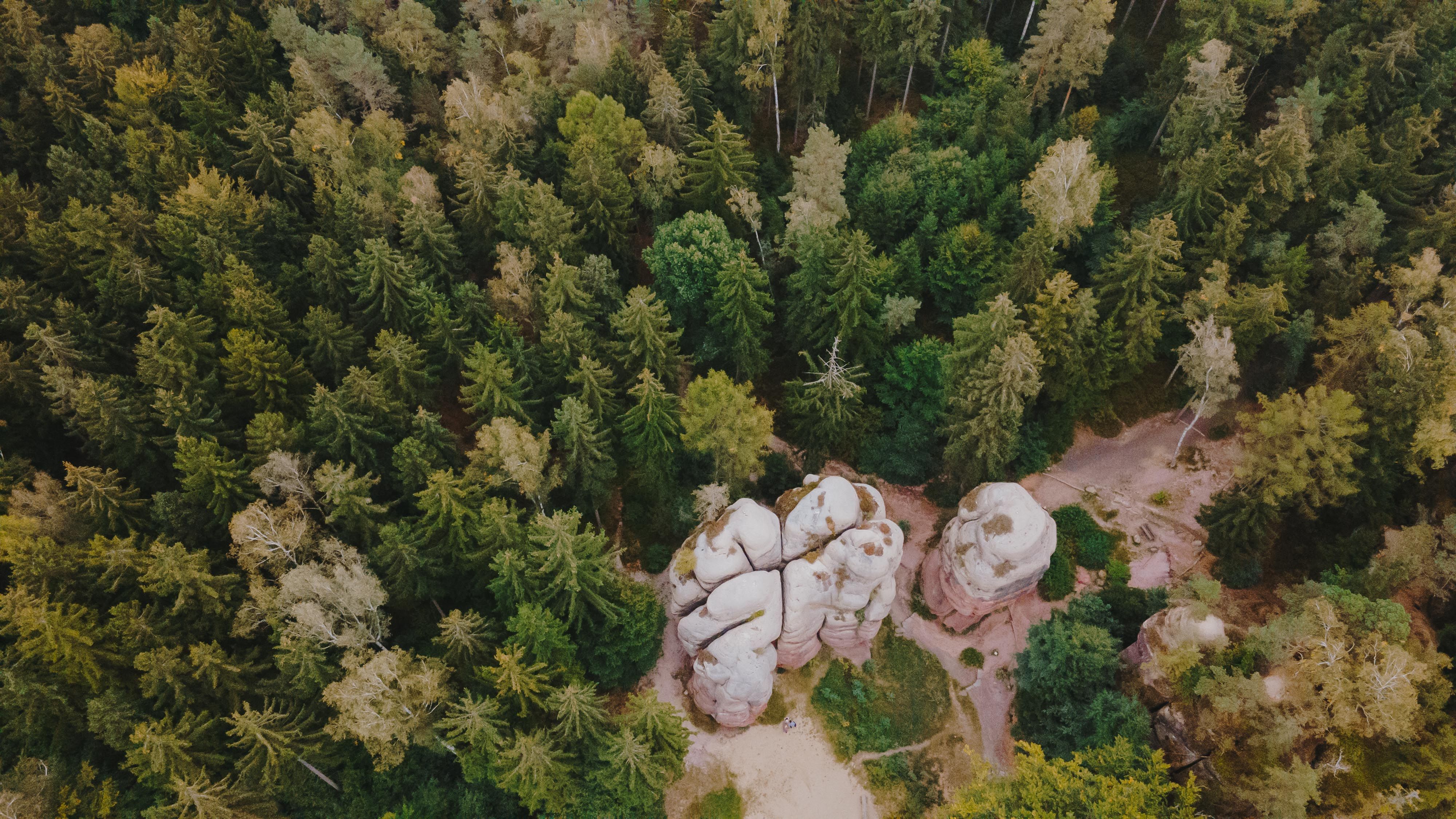 Aerial View of Rock Formations in Forest, Großschönau · Free Stock Photo