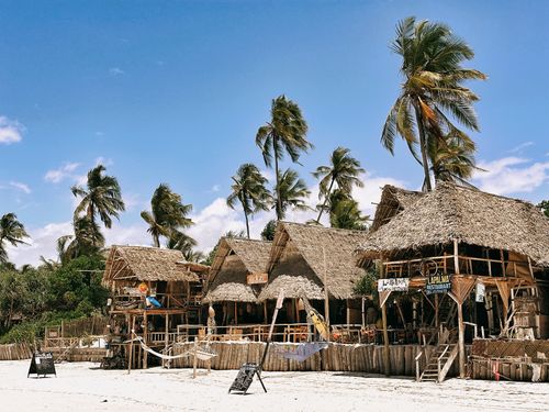 Free Rustic beach huts with palm trees on a sunny day in Zanzibar, perfect for tropical getaways. Stock Photo
