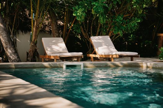 Relaxing poolside scene in Zanzibar with two sunbeds surrounded by lush tropical greenery.
