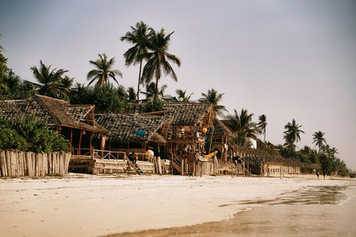 Free Rustic beachfront huts under palm trees along Zanzibar's coast, offering tropical serenity. Stock Photo