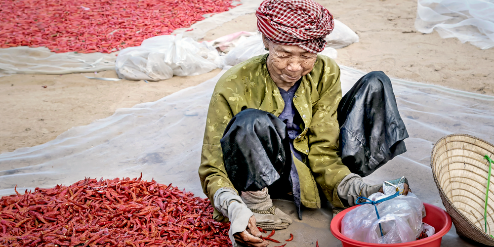 ẾCH XÀO SẢ ỚT - MÓN ĂN ĐẶC TRƯNG CỦA VIỆT NAM