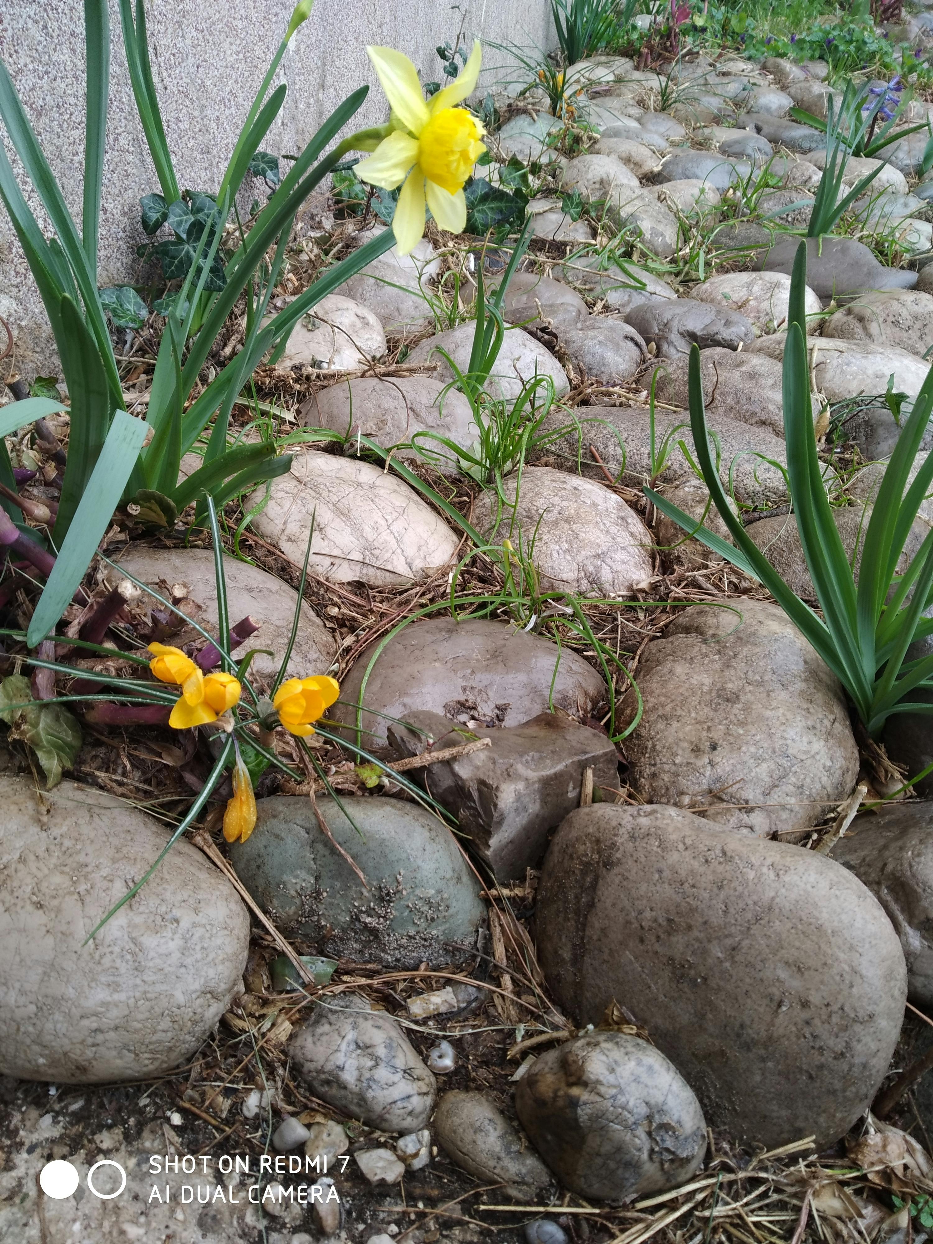 郑州保险公司如何用肇新智能文档比对处理扫描版保单条款的细微修改