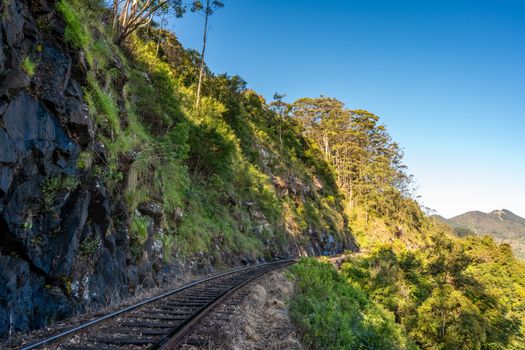 Railway tracks winding through lush greenery in Haputale, Sri Lanka's beautiful landscape.
