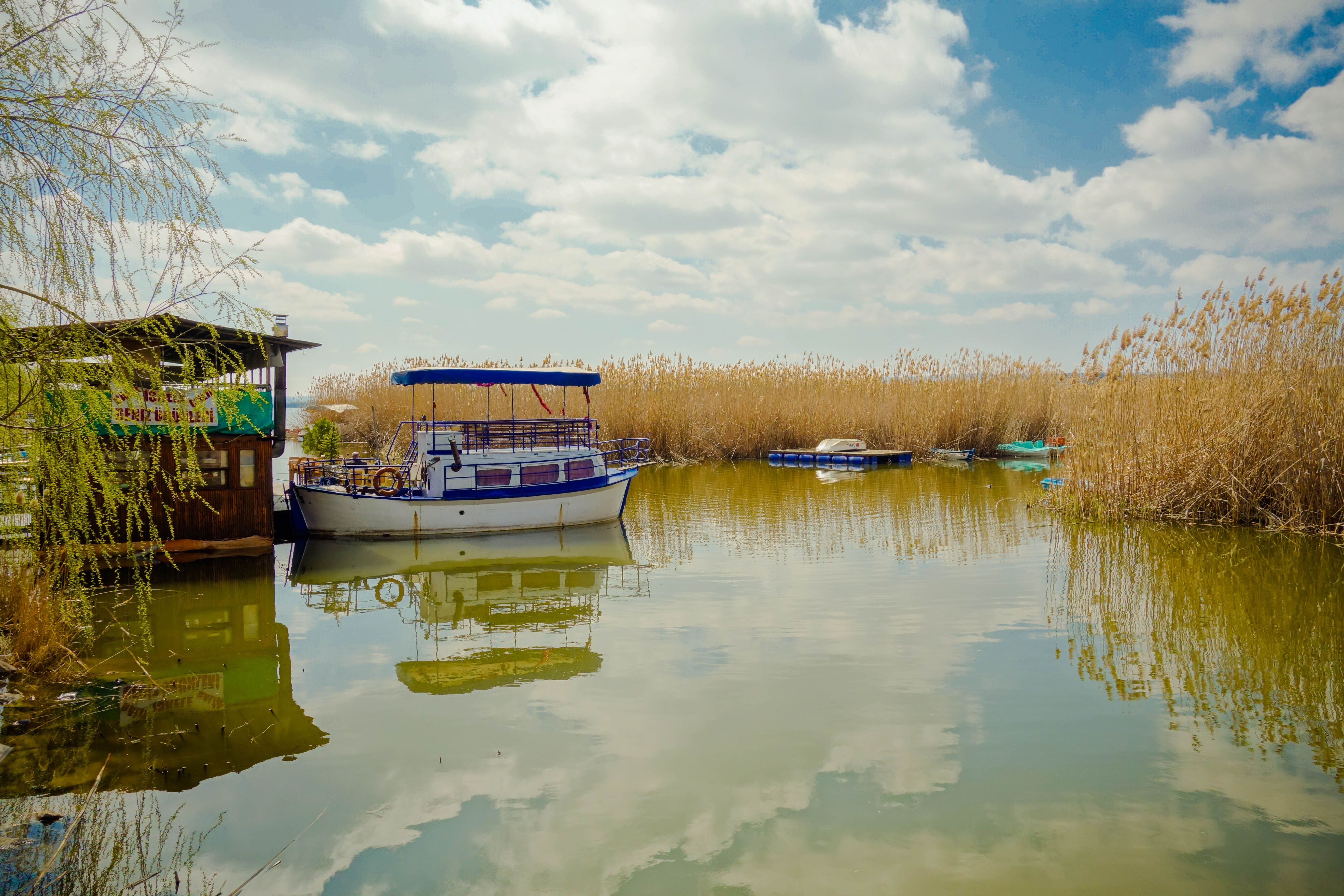 A tranquil scene of a boat docked on a calm lake, surrounded by reeds under a bright blue sky with fluffy clouds.