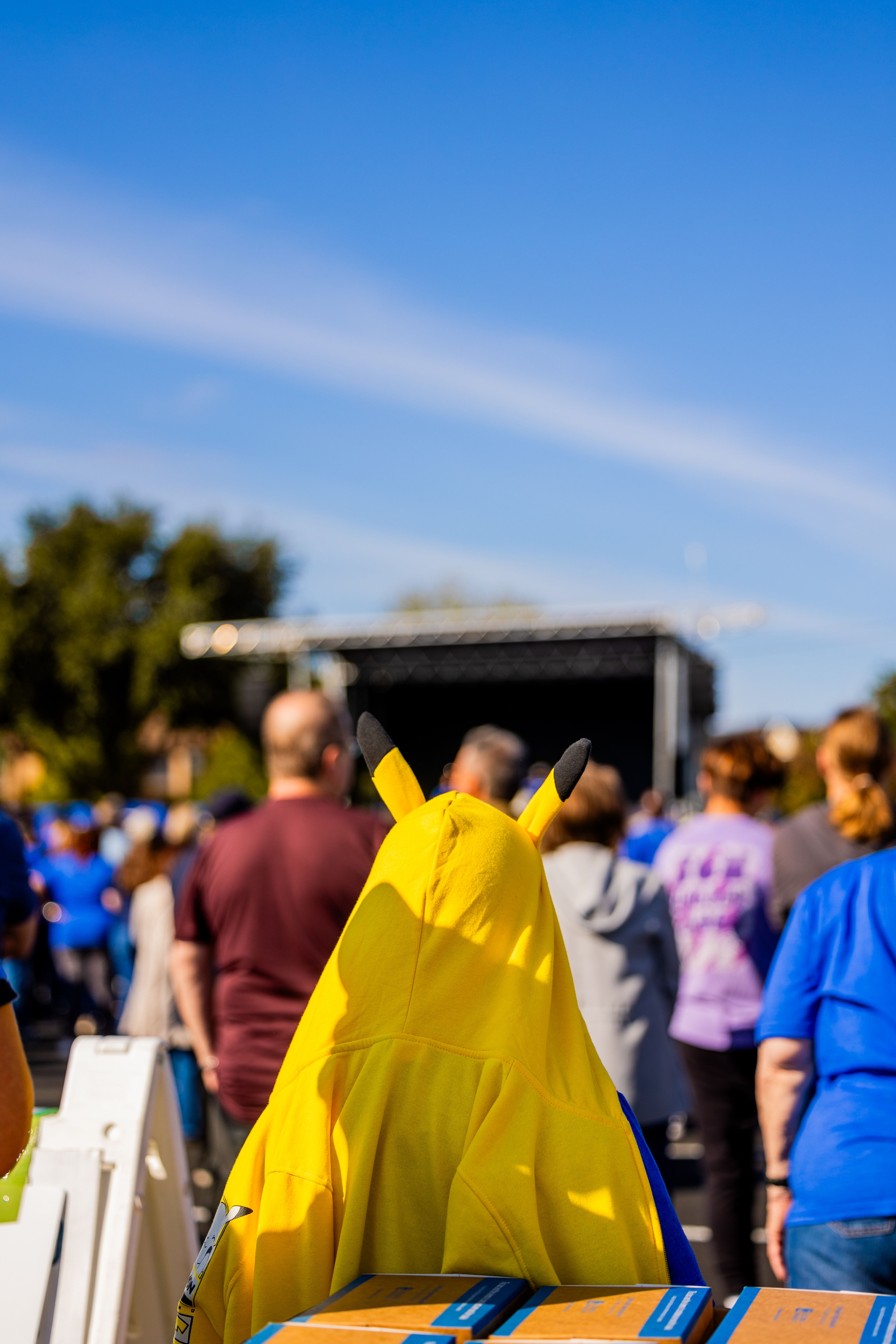 Crowd at Outdoor Event with Pikachu Costume · Free Stock Photo