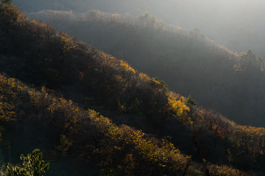 Beautiful autumn landscape with warm sunlight over forested hills at sunrise.