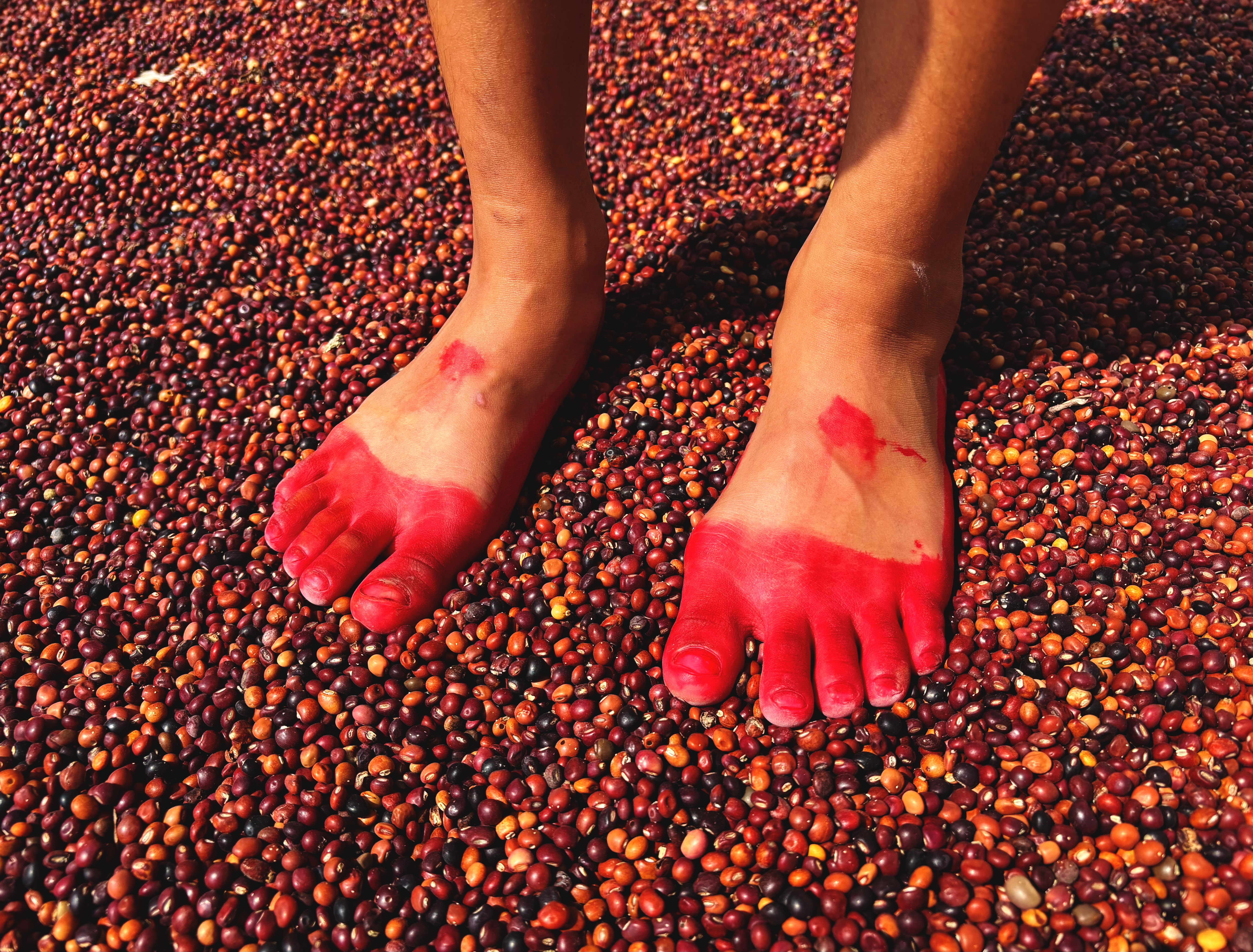Colorful Feet on Vibrant Beans Background · Free Stock Photo