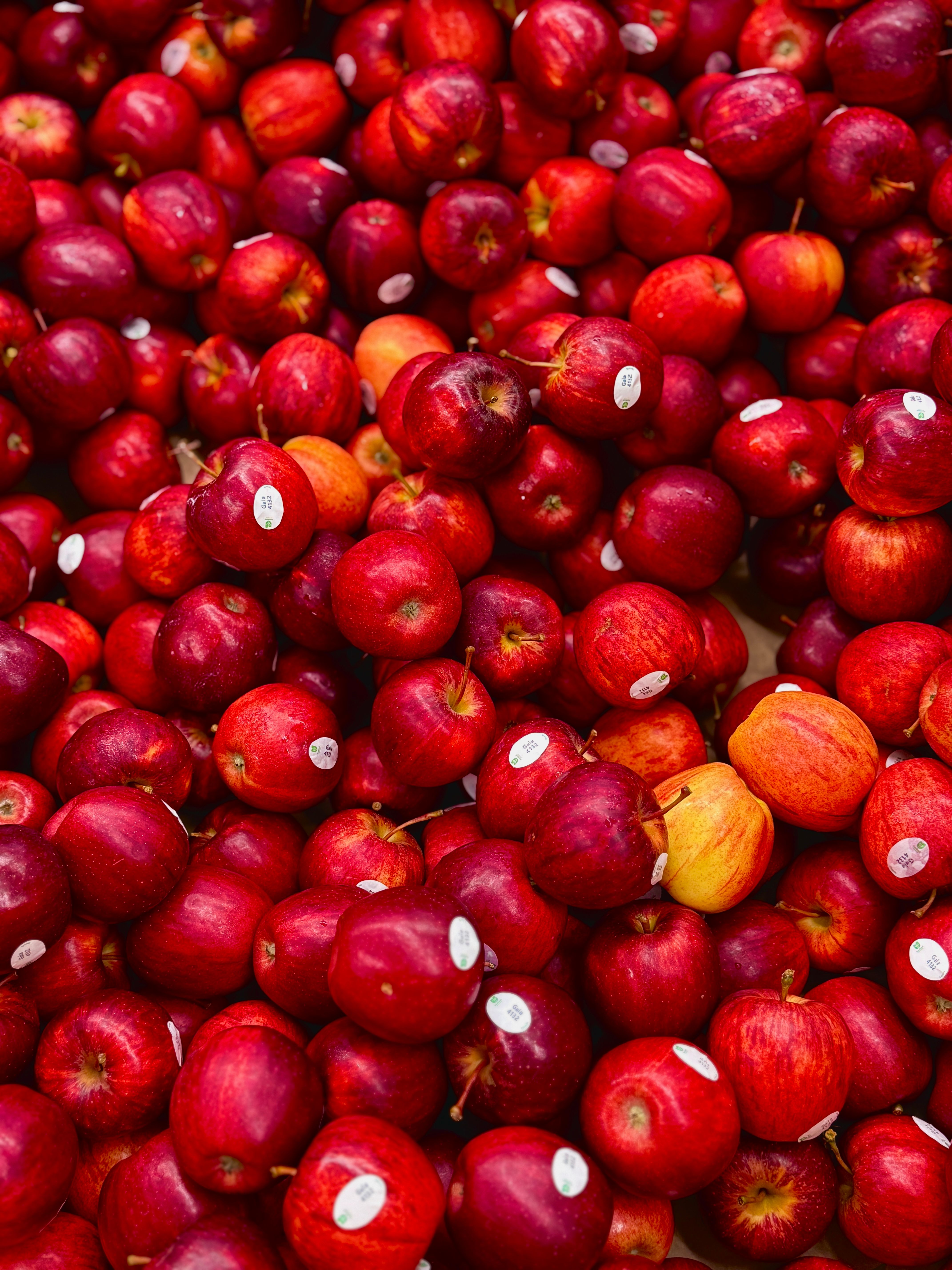 Maçã Nacional (kg)